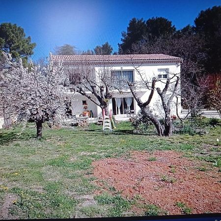La Maison De Papou La Vigne A Nans Les Pins 83860 Εξωτερικό φωτογραφία