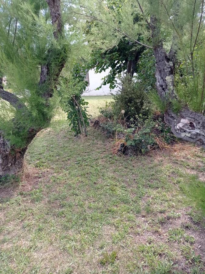 La Maison De Papou La Vigne A Nans Les Pins 83860 Εξωτερικό φωτογραφία